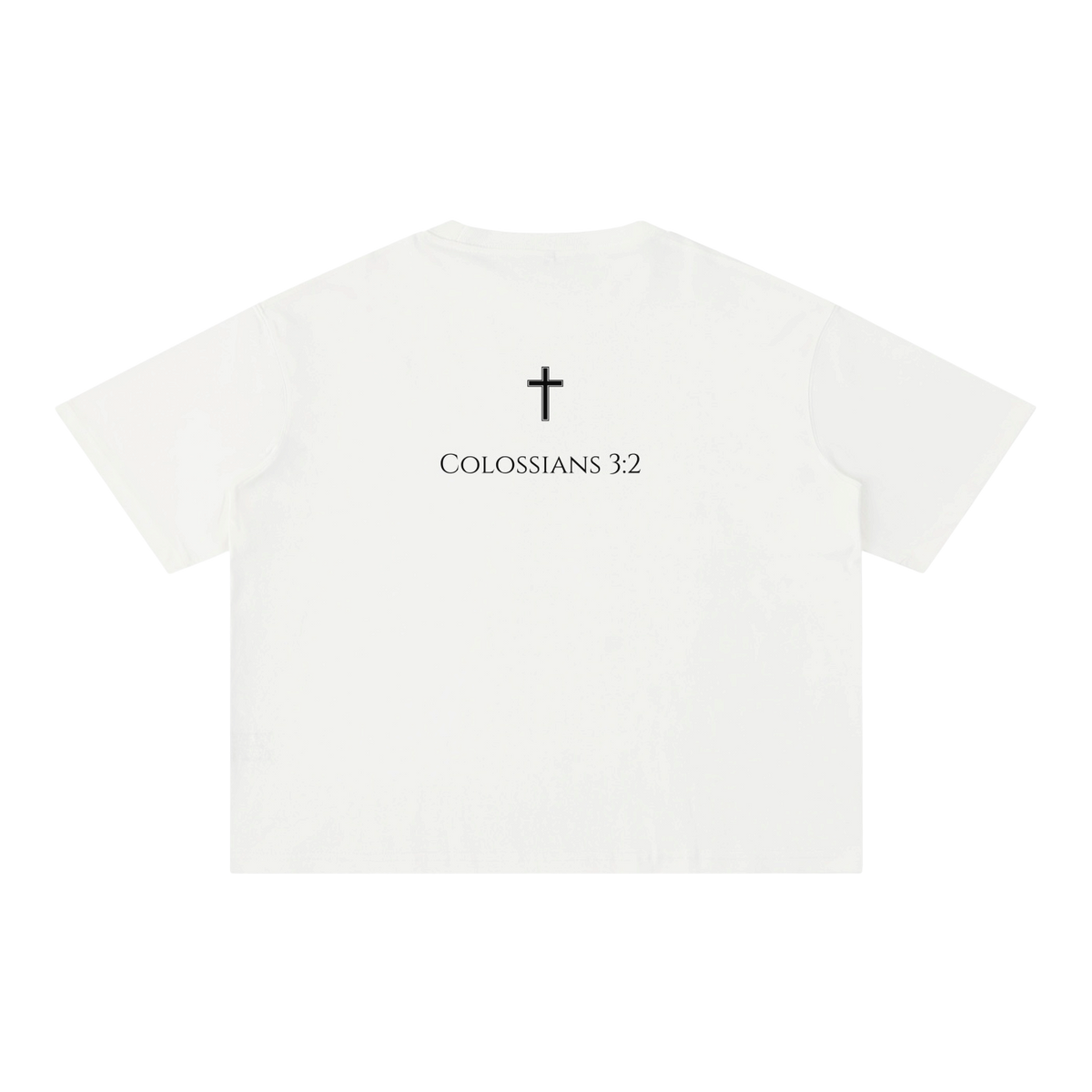 Colossians 3:2 Boxy Cotton Tee